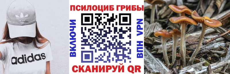 Купить  Лакинск  Псилоцибиновые грибы мухоморы 